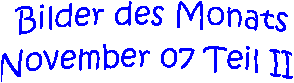 Bilder des Monats
November 07 Teil II 
