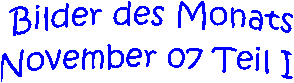 Bilder des Monats
November 07 Teil I